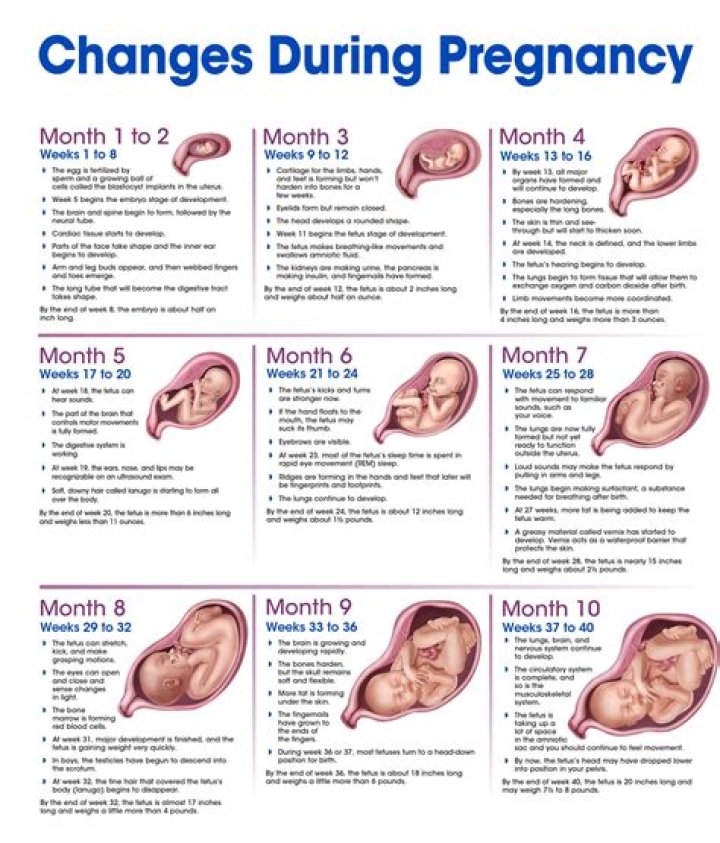 Baby Due Date: A Comprehensive Guide to Kat Timpf's Pregnancy Journey