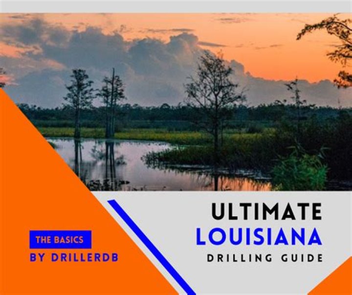 Barbara Q Louisiana: A Comprehensive Guide