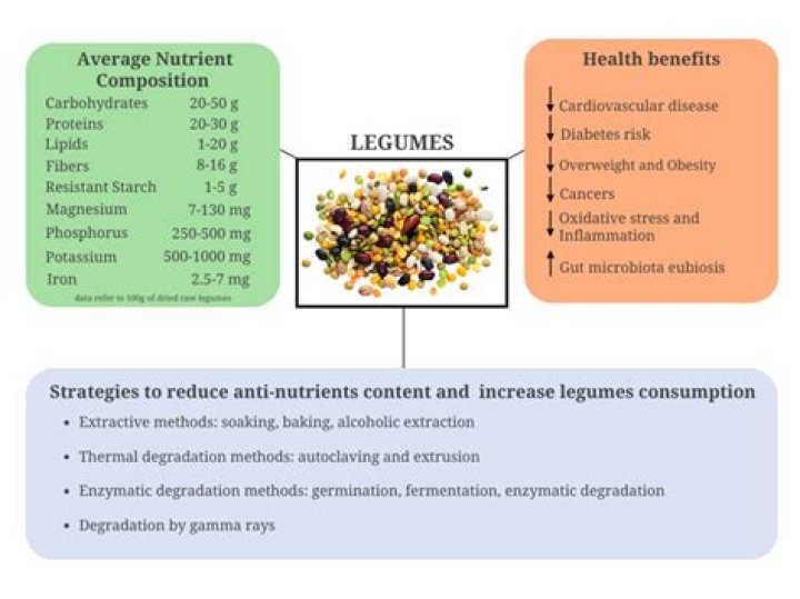 Beans 2025 Even Stevens: Exploring the Future of Legume Sustainability