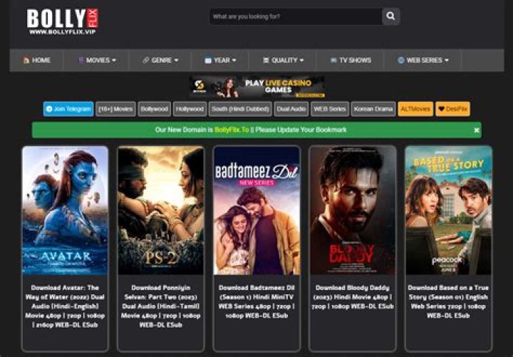 Bollyflix.baby: Your Ultimate Guide to Indian Movies and Series