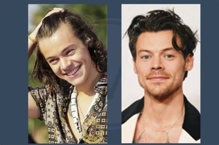 Does Harry Styles Have a Brother? Discover the Truth About His Family