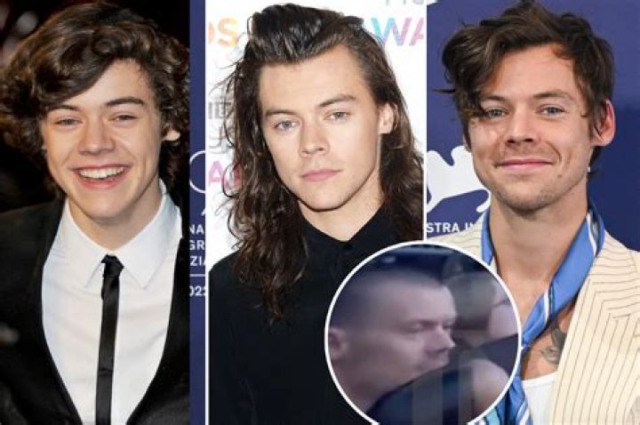 Does Harry Styles Have a Twin Brother? Unveiling the Truth Behind the Rumors