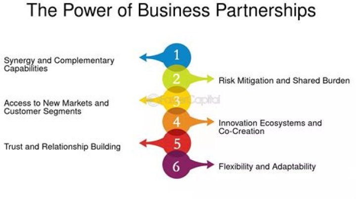 Dynamic Duos: The Power of Partnership in Business and Beyond