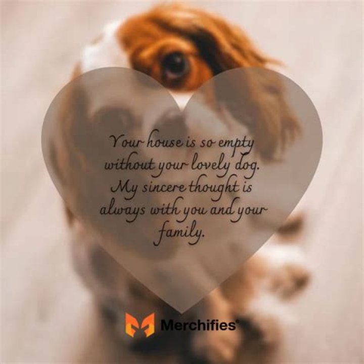 Hamsterxxx: The Ultimate Guide to Understanding and Caring for Your Beloved Pet