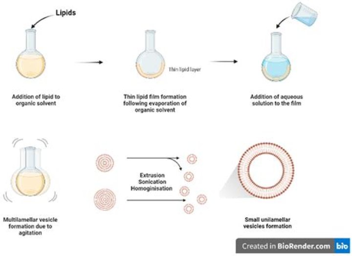 MMS Viral: Understanding the Phenomenon and Its Implications