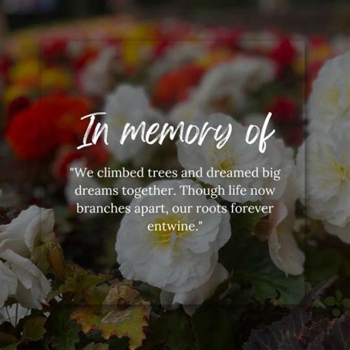 Remembering TLC Members Who Passed Away: A Tribute to Their Legacy