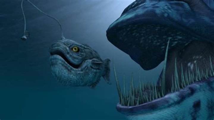 River Monsters: Exploring the Depths of the World&rsquo;s Most Mysterious Aquatic Creatures