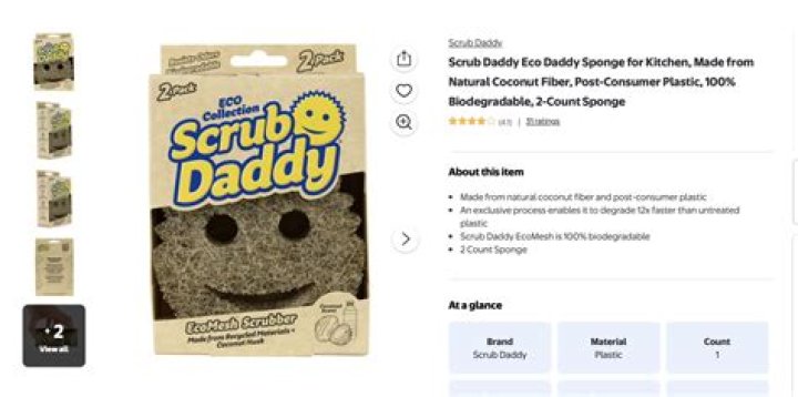 Scrub Daddy Net Worth: The Fascinating Journey of America's Favorite Sponge Entrepreneur