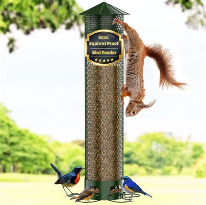 Squirrel Proof Bird Feeder Pole: The Ultimate Solution for Birdwatchers