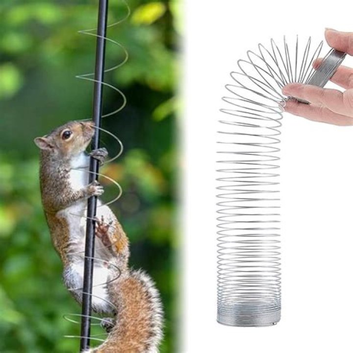 The Ultimate Guide to Squirrel Baffle: Protect Your Bird Feeder Today