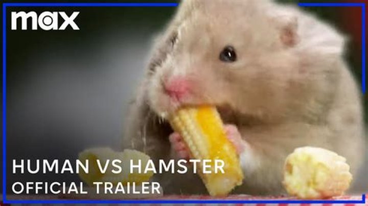 The Ultimate Guide to X Hamster: Expert Insights and Fascinating Details