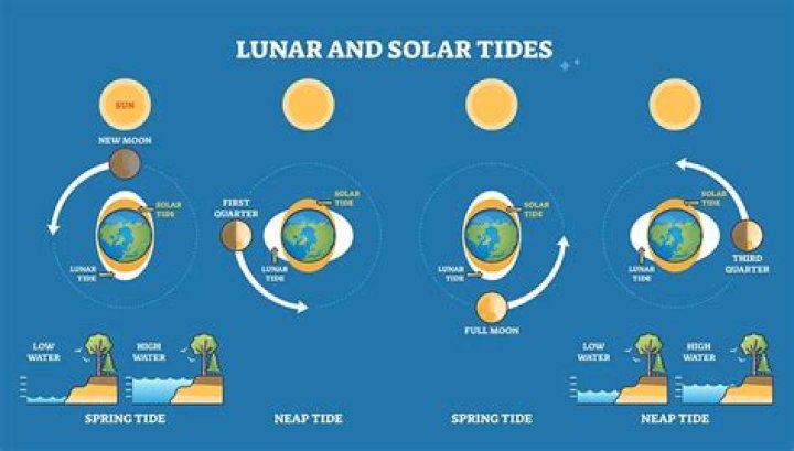 Tides of Time: Understanding the Phenomenon of "Shi"