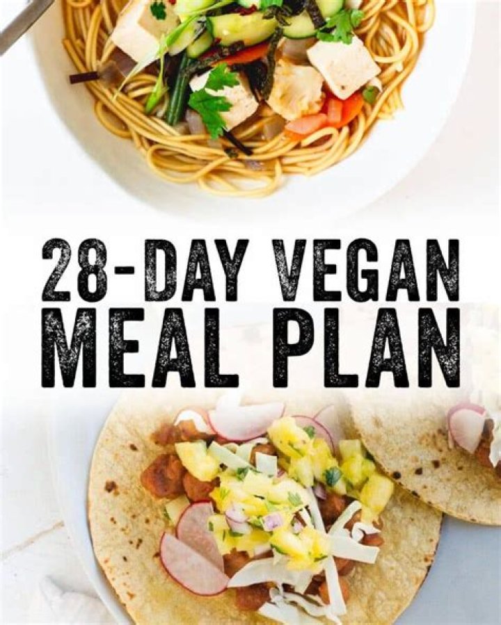 Vegamoves.nl: Your Ultimate Guide to Vegan Lifestyle and Resources