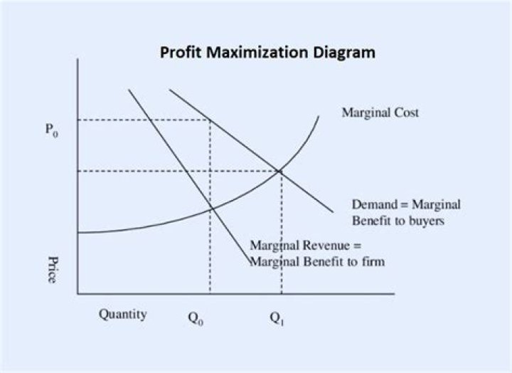 Xhamst: A Comprehensive Guide to Understanding and Maximizing Its Potential